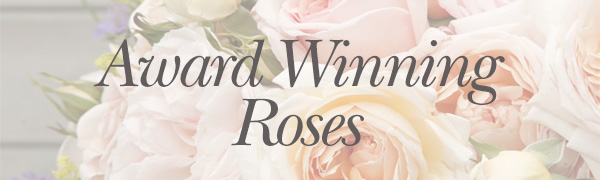 Award Winning Roses